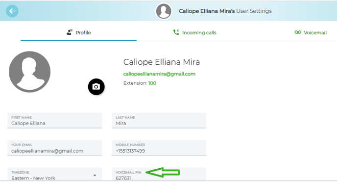 configure user settings of the profile view where the voicemail pin section is highlighted